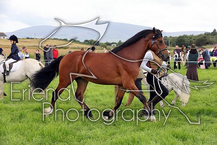 Carnwath2025Ring3228