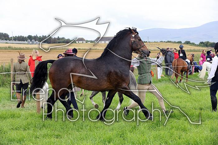 Carnwath2025Ring3229