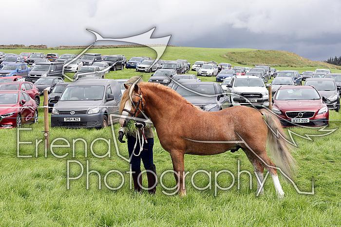 Carnwath2025Ring3232