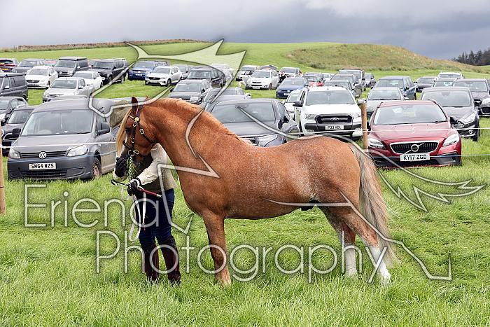Carnwath2025Ring3233