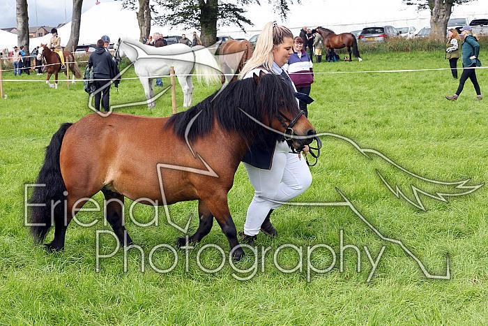 Carnwath2025Ring3234