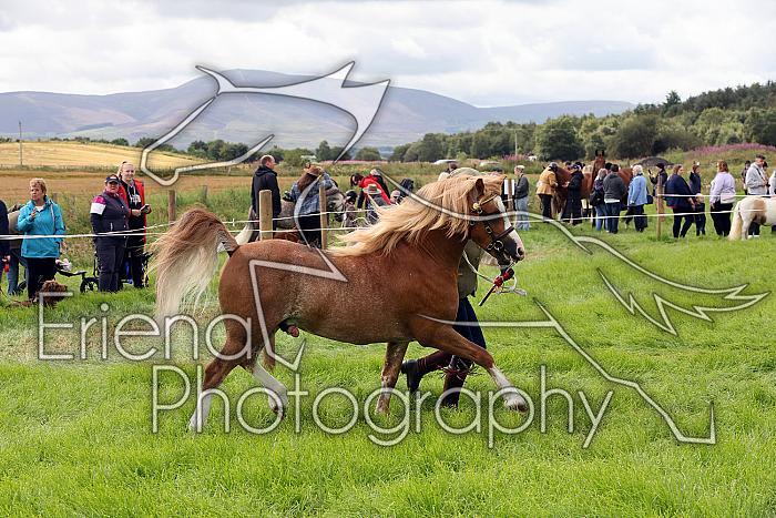 Carnwath2025Ring3235