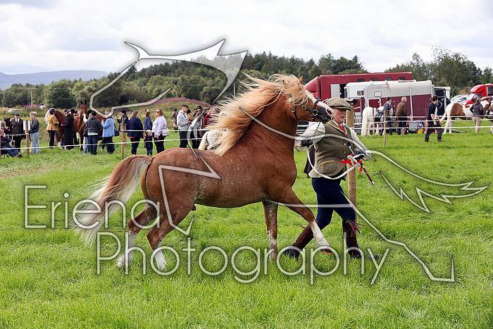 Carnwath2025Ring3236