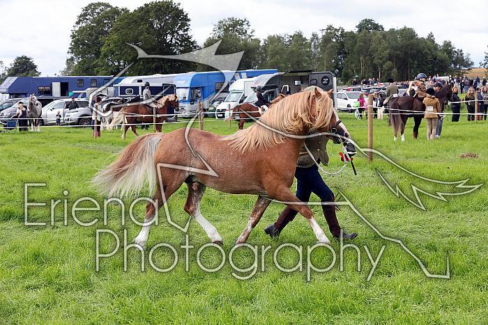Carnwath2025Ring3238