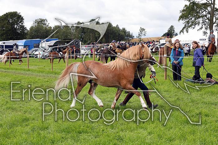Carnwath2025Ring3239