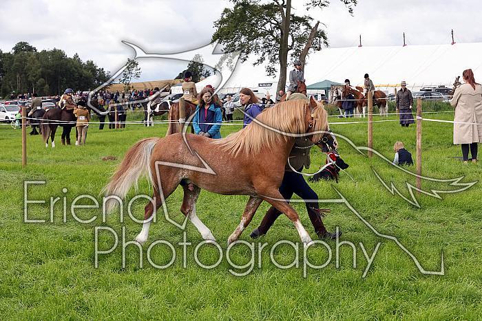 Carnwath2025Ring3240