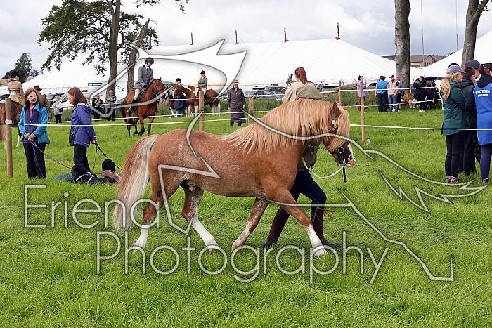Carnwath2025Ring3241