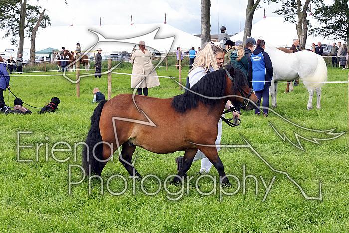 Carnwath2025Ring3242