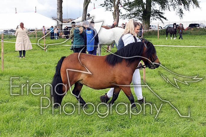 Carnwath2025Ring3243