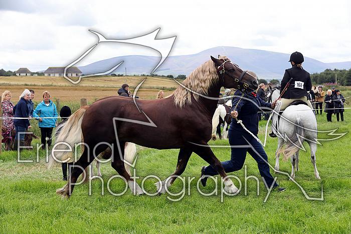 Carnwath2025Ring3248