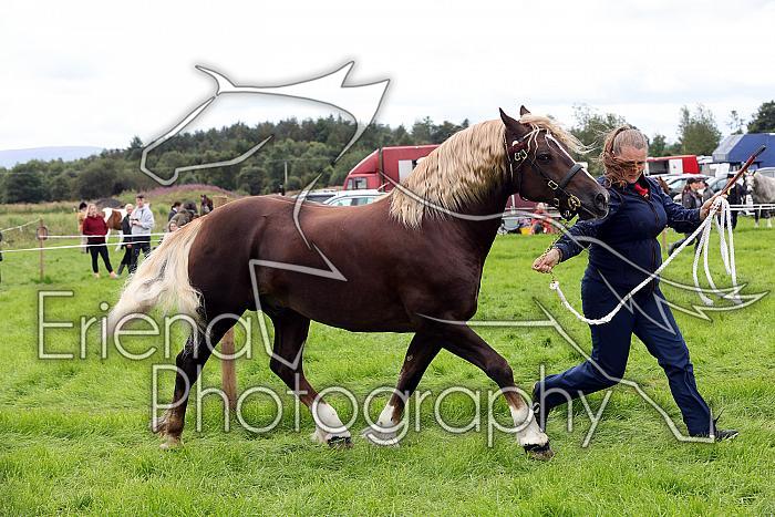 Carnwath2025Ring3250