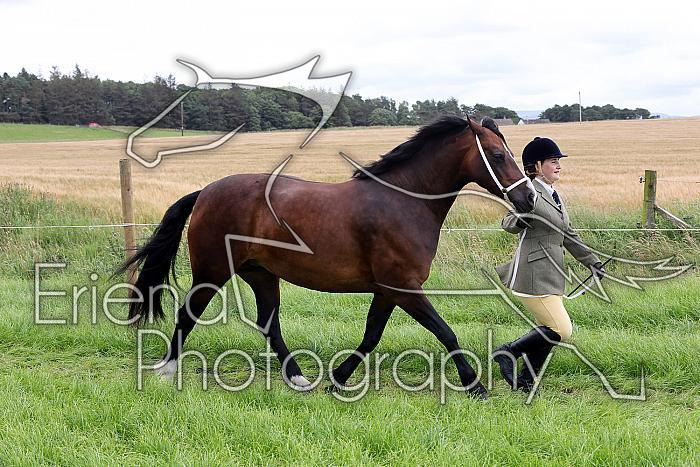 Carnwath2025Ring3254