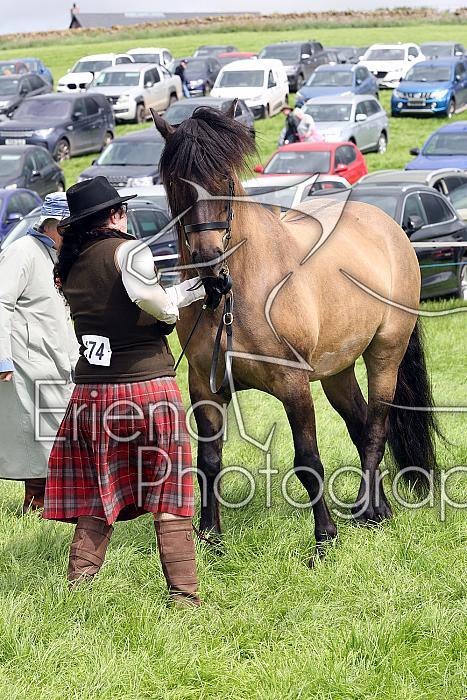 Carnwath2025Ring3257