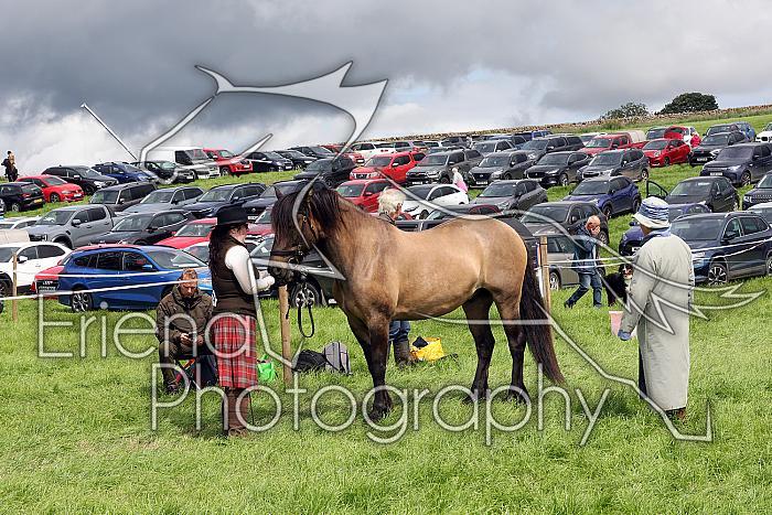 Carnwath2025Ring3258