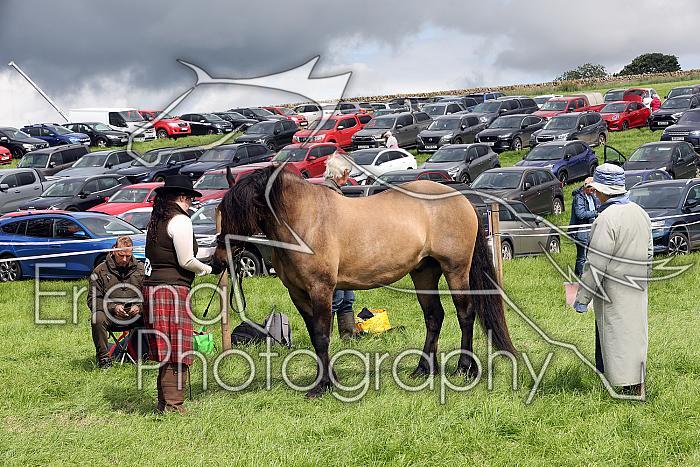 Carnwath2025Ring3259