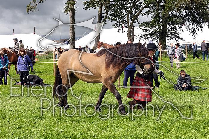 Carnwath2025Ring3260