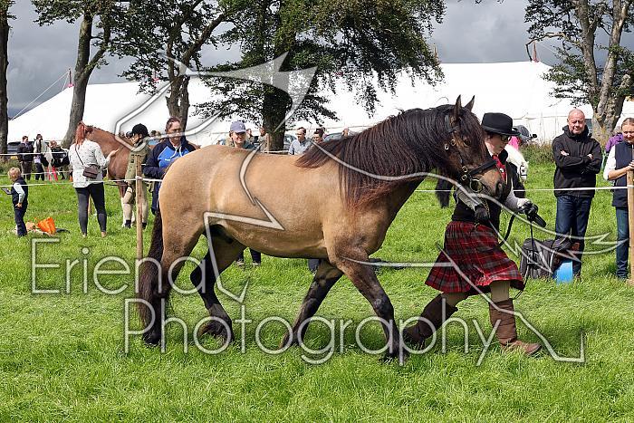 Carnwath2025Ring3261