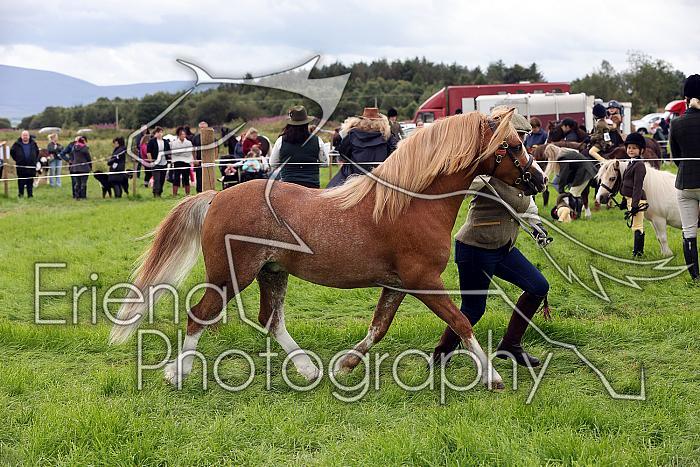 Carnwath2025Ring3267
