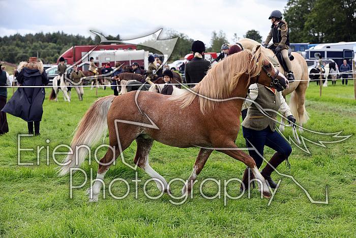 Carnwath2025Ring3268