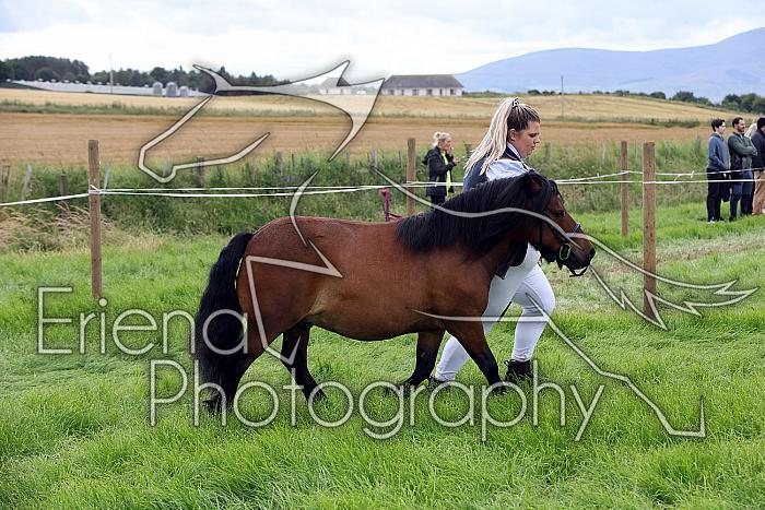 Carnwath2025Ring3271