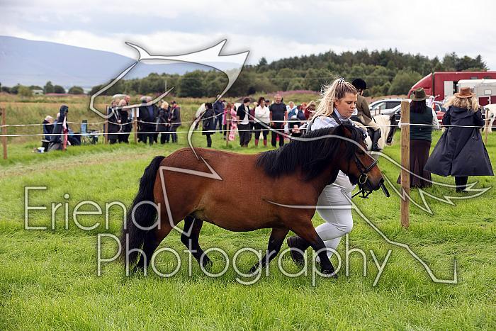 Carnwath2025Ring3274