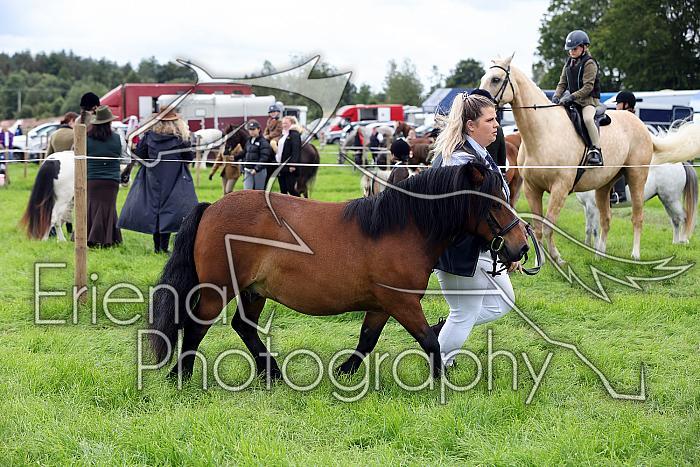 Carnwath2025Ring3275