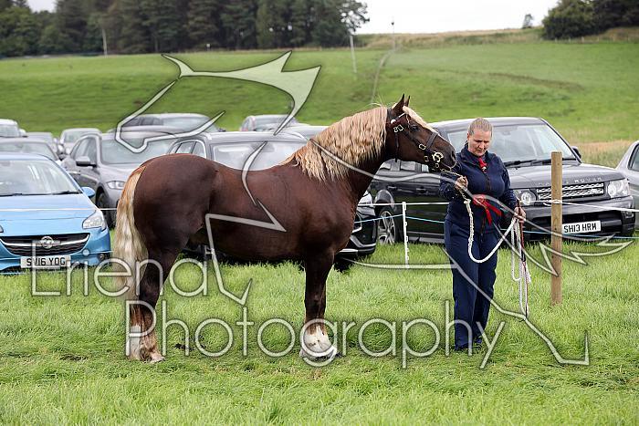 Carnwath2025Ring3276