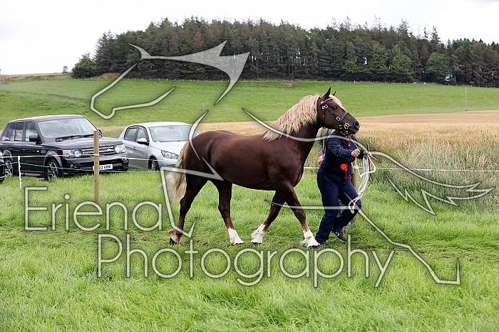 Carnwath2025Ring3277
