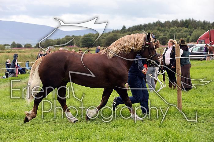 Carnwath2025Ring3279