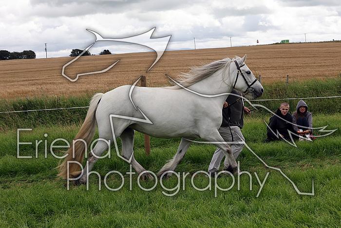 Carnwath2025Ring3282