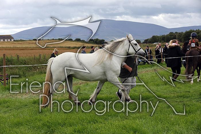 Carnwath2025Ring3283