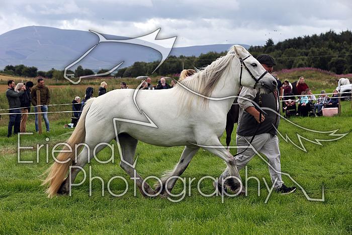 Carnwath2025Ring3284