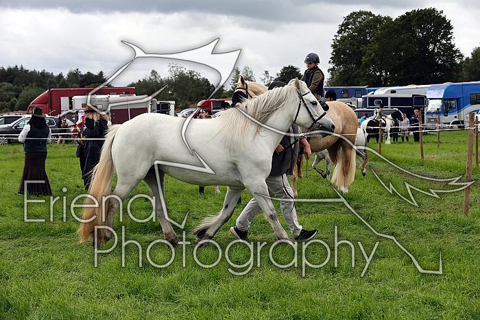 Carnwath2025Ring3285