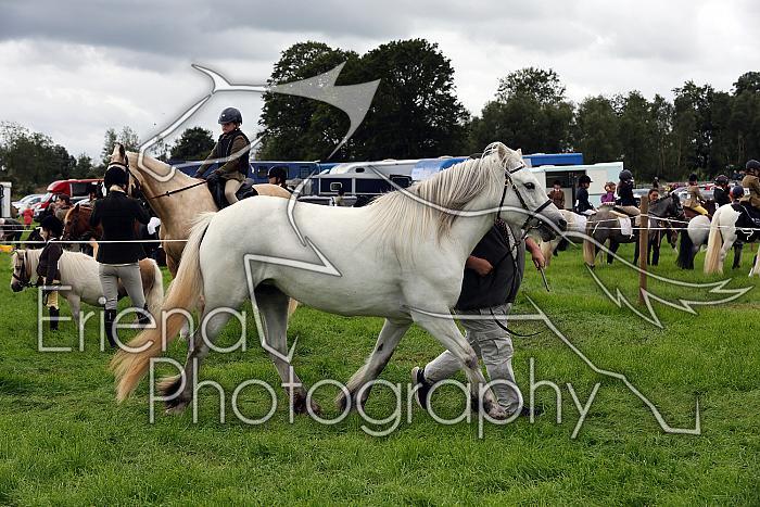 Carnwath2025Ring3286