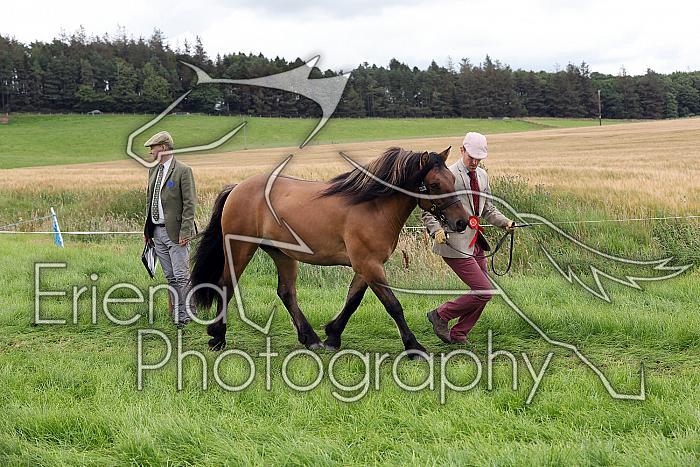 Carnwath2025Ring3289