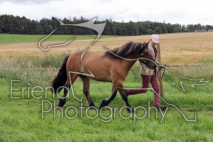 Carnwath2025Ring3290