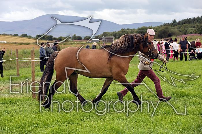 Carnwath2025Ring3294