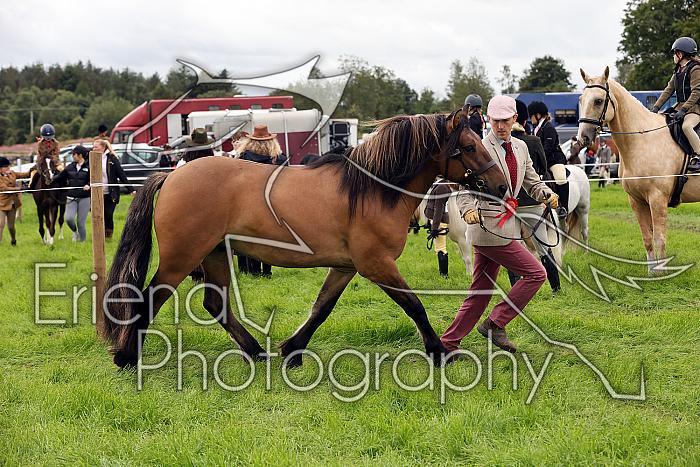 Carnwath2025Ring3296