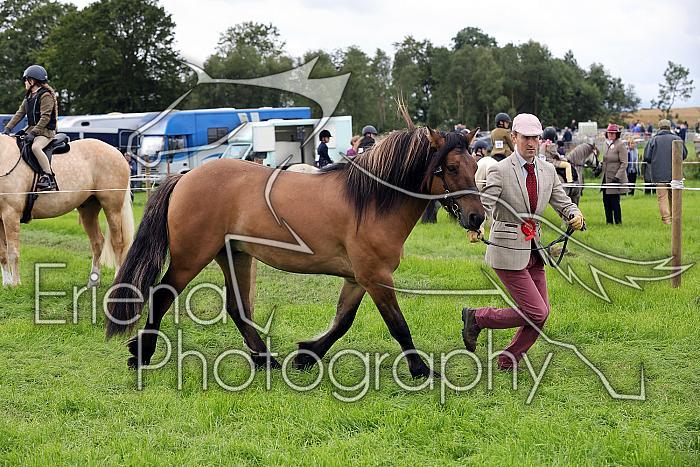 Carnwath2025Ring3298