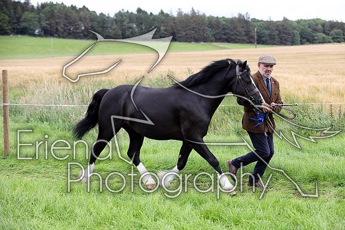 Carnwath2025Ring3299