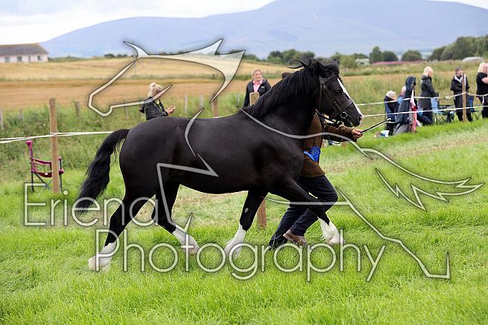 Carnwath2025Ring3301