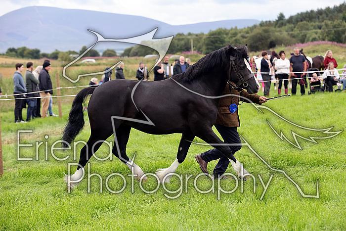 Carnwath2025Ring3302