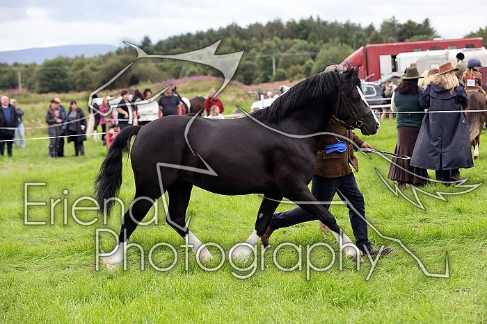 Carnwath2025Ring3303