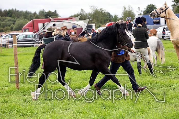 Carnwath2025Ring3304