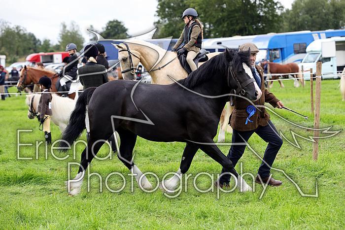 Carnwath2025Ring3305