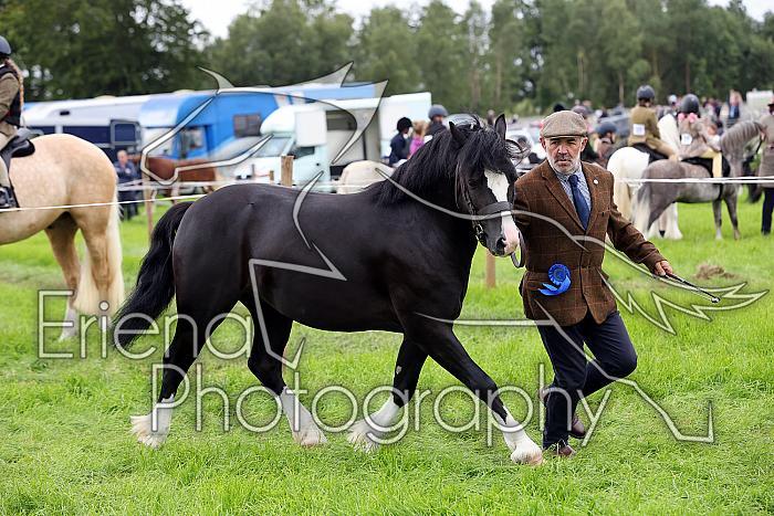 Carnwath2025Ring3306