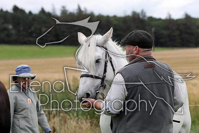 Carnwath2025Ring3309