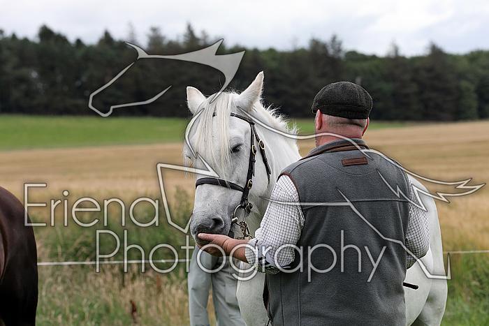 Carnwath2025Ring3310