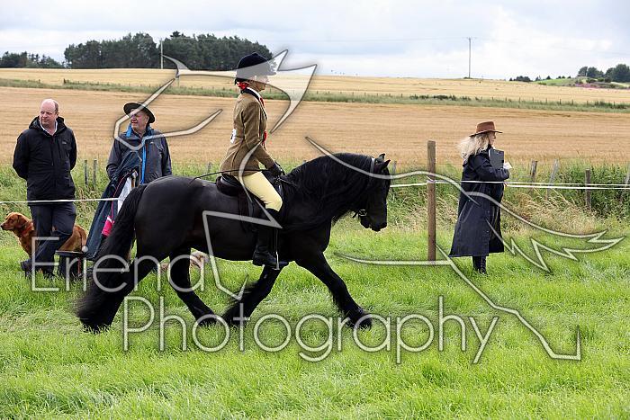 Carnwath2025Ring3355