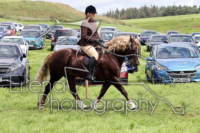 Carnwath2025Ring3357